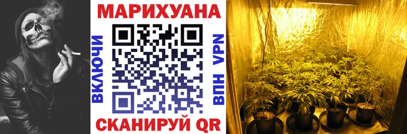 Марихуана семена купить закладку Кедровый